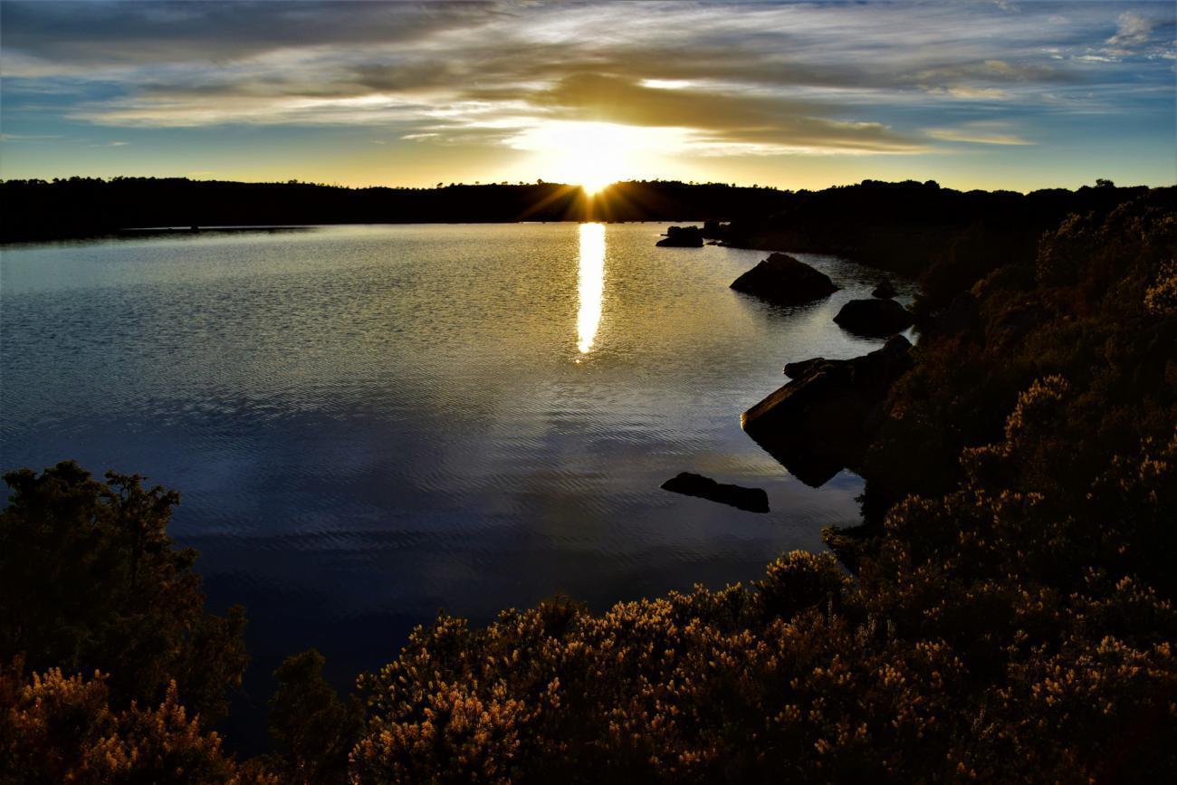 Protect the Tasmanian Wilderness World Heritage Area (TWWHA) | Trout & Co